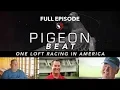 Pigeon Beat FULL Episode One Loft Racing in America