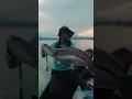 Download Lagu need more action in the future.. will do my best 🫡 #kenyirlake #snakeheadfishing #moments #foryou