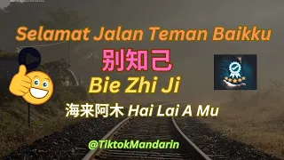 Download Lagu Mandarin TOP! Bie Zhi Ji 别知己 SELAMAT JALAN TEMAN BAIKKU  - 海来阿木Hai Lai A Mu  HaiLai Amu - VIRAL MP3