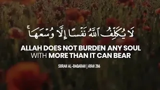  ل ا ي ك ل  ف  الل  ه  ن ف س ا إ ل  ا و س ع ه ا  أحمد العجمي دندنها