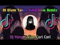 Download Lagu Dj Diam Tanpa Kata Slow Remix Viral Tiktok Terbaru 2021 || DJ Nabila