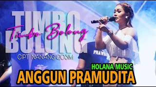 Download Anggun Pramudita - Timbo Bolong ( HOLANA MUSIC ) MP3