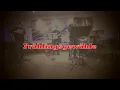 Florian Werther Quartett - Frühlingsgewühle