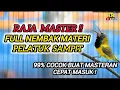Download Lagu SOGON GACOR NEMBAK MATERI PELATUK SAMPIT !! 100% Cocok Buat Masteran Sogon Bahan Ombyokan