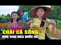 Download Lagu 🔴 Nhà Hội Đồng Chài Cá Mưu Sinh Mùa Nước Nổi | Cẩm Hằng
