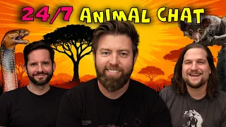24 7 Animal Learning And Fun W Forrest Galante The Wild Times Crew 