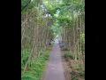 Download Lagu Desa di tengah \