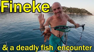 Deadly fish poison – Kekova to Kas! (Sailing Dakini – Leave to Roam Ep. 18)