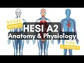 SCORE HIGH HESI A2 Anatomy Physiology Review Most Tested Topics in Under 10 Minutes