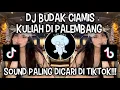 Download Lagu DJ BUDAK CIAMIS KULIAH DI PALEMBANG || DJ REMIX LAMPUNG PALEMBANG VIRAL TIKTOK ‼️