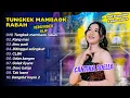 Download Lagu Cantika Adella - TUNGKEK MAMBAOK RABAH - KANG MAS || FULL DANGDUT KOPLO 2024