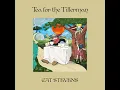 Wild World (2020 Mix) - Cat Stevens