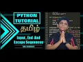 INPUT END AND ESCAPE SEQUENCE in python