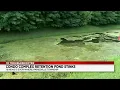 Someone could get sick Painesville neighbors worry smelly pond is health hazard