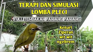 terapi dan simulasi lomba pleci full tembakan panjang panjang