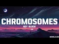 Key Glock - Chromosomes (Lyrics)