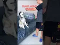 Download Lagu Botol Plastik dan Kentut; Lelucon Yang Tak Biasa Membuat Anjing Kaget! #shorts #funny