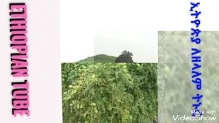 ምርጥ ባህላዊ ሙዚቃ ተጋበዙልኝ ከእናንተ የሚጠበቀው ሰብስክራይብ ላይክ ሼር ብቻ ለእናንተ ቀላል ነው 