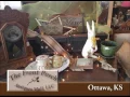 Ottawa Kansas s Front Porch Antiques on Our Story s the Celebrities