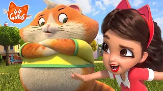 44 Gatos | O dia das travessuras! TOP 5 🤪🤣