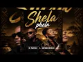 Dj Njebza  - Shela Phela  (Official Audio) ft Nontokozo Buthelezi