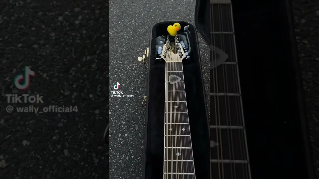 Takamine Legacy