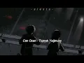 Can Ozan -Toprak Yağmura (slowed+reverb)