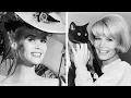 The Life and Sad End of Dorothy Provine