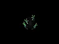 Dog Blood - TURN OFF THE LIGHTS [Official audio]