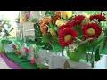 Raja dan Ratu Sehari MUSENNI & LAILA