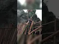 Pembangunan Alam Liar Tunggal: Rumah Hutan Saya yang Berumur 50 Tahun Tenaga Hidro