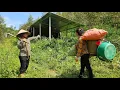 Download Lagu The kind farmer gave the single girl an abandoned house in the garden.