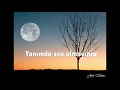 Sezen AKSU - Olmaz Olsun (Sözleri)