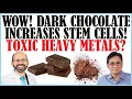 Dark Chocolate Increases Stem Cells What About Heavy Metals Found In Chocolate