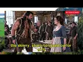 “Who Baked This Bread?” the Mountain Man Roared—The Beautiful Cook Began to Tremble
