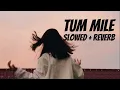 Download Lagu Tum Mile (Slowed + Reverb) Lofi | Emraan Hashmi Songs | Happy Music