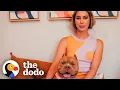 Woman Fosters A Pittie And Has No Idea How Much Her Life s About To Change The Dodo Foster Diaries