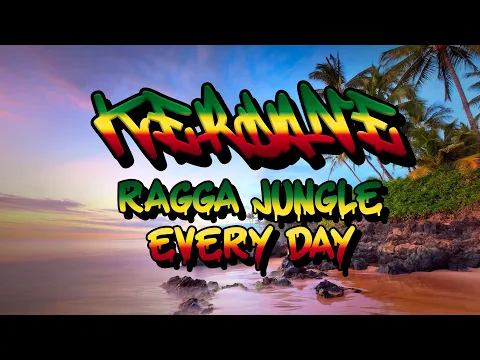 Download MP3 Ragga Jungle Every Day - Ragga Jungle Reggae Drum and Bass Rollers Mix