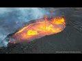 The Entire History of Dinosaurs in 1 Hour