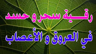 رقية سحر و حسد في العروق و الأعصاب الشيخ ناصر زيدان الغامدي 