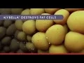 Kybella for Double Chin Boston Concord MA Sean Doherty MD