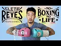 Download Lagu No Boxing No Life vs Cleto Reyes (10 oz Pro Fight Gloves)