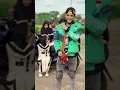 Download Lagu Melepas rindu ❤️ #shortvideo #trending
