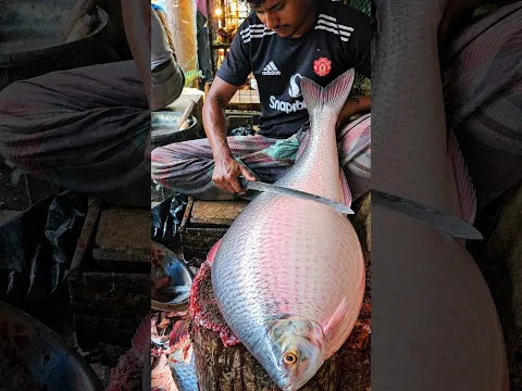 Perfect Hilsa (ilish) Fish Cutting | Fish Cutting In Bangladesh 😱 #shorts