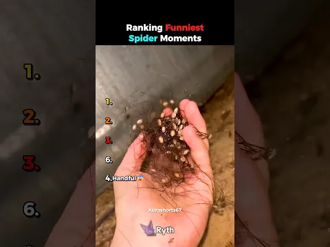 ranking best spider moments #usa