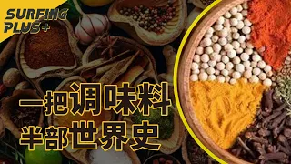 大航海时代的开启竟是因为一把香料，钱权相争间，看香料如何改变世界格局