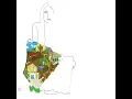 The Circle Game - Joni Mitchell