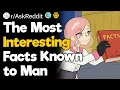 The Most Interesting Facts Known to Man