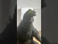 Download Lagu Godzilla 1962 werd gek @Therackaracka #stopmotion #godzilla #shmonsterarts #godzilla #toho