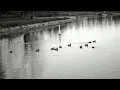 Karen o - Worried Shoes